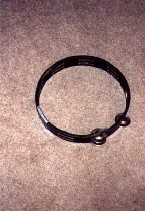 Steve's tamborine